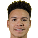 صورة اللاعب