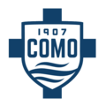 Team logo
